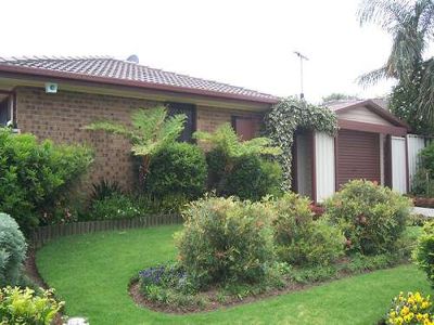 Blackbutt