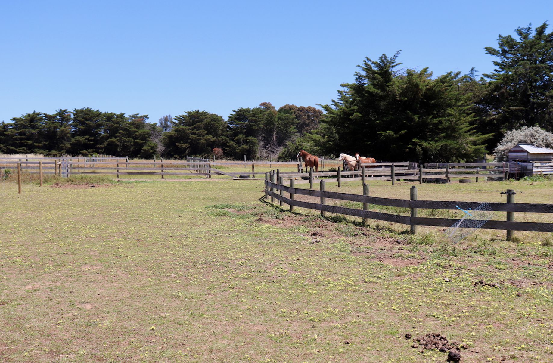 Lot 58 & 59, Jubilee Street, Inverleigh