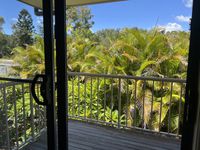 31 Archipelago Street, Pacific Pines