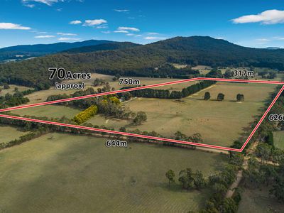 255 KERRIE ROAD, Kerrie