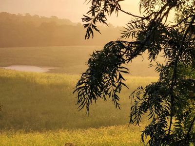 474 Whelan Road, Bollier