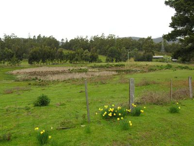 211 Middle Road, Pelverata