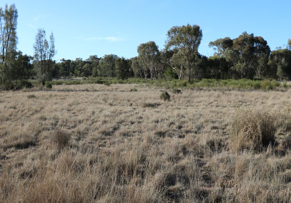 Back Trundle Road, Parkes