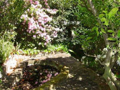 6 The Glen Road, Bardwell Valley