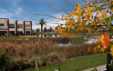 20 Cormorant Parade, Pakenham