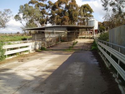 253 Buckland Road, Cohuna