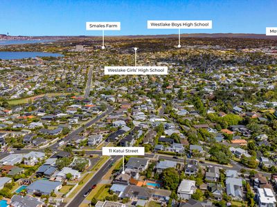 11 Katui Street, Castor Bay