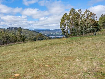 Lot 1 Harwoods Road , Castle Forbes Bay