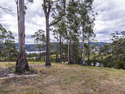 0 Walters Road, Wattle Grove