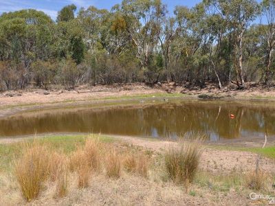 304R Belowrie Road, Tomingley, Dubbo