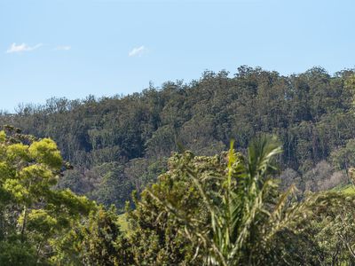 64 Wattle Street, Fishermans Paradise