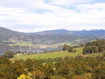 Petcheys Bay