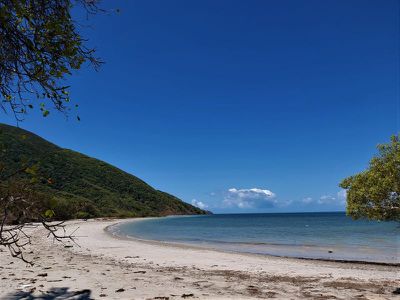 1105 Mount Amos Road, Cooktown