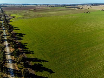 465 Quilties Corner Road, Buddigower, West Wyalong