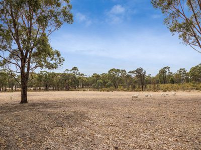5 Tait Hamilton Road, Cornella
