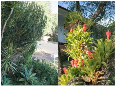 4 Gollan Street, Wingham