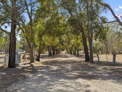 170 Duells Lane, Tooborac