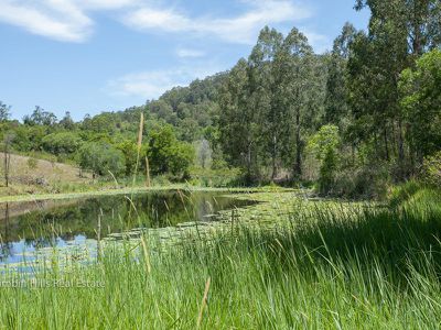 357 Stony Chute Road, Nimbin