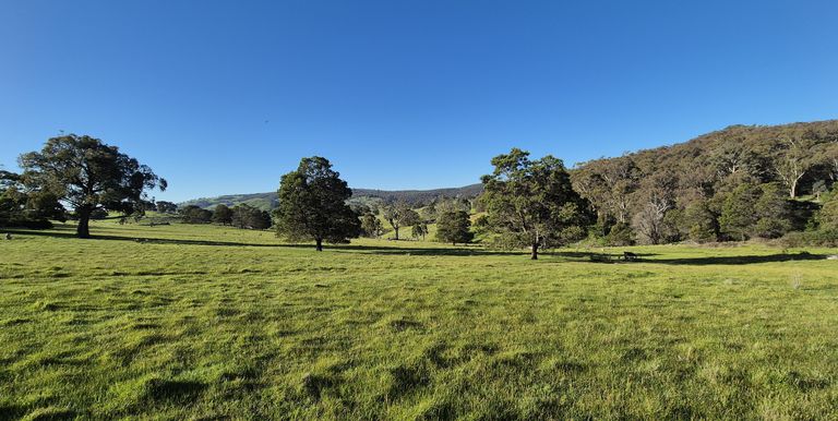 665 Fernhills Road, Marraweeney