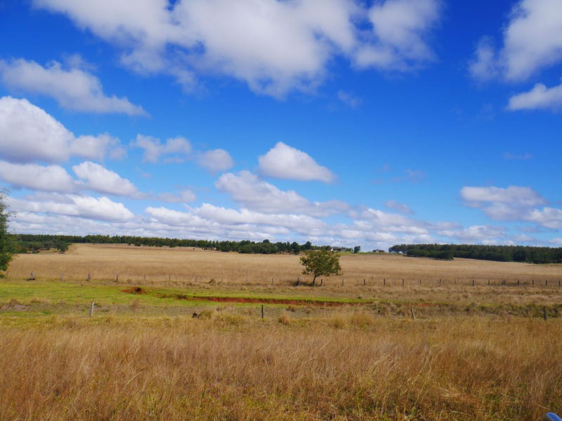 376 Reedy Creek, Kingaroy