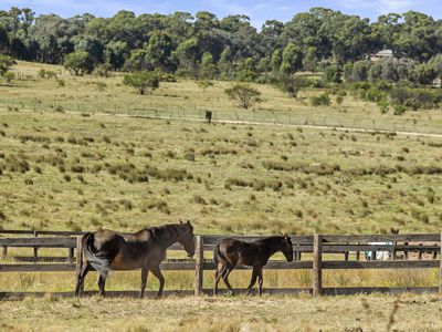 115 Cowles Road, Northwood