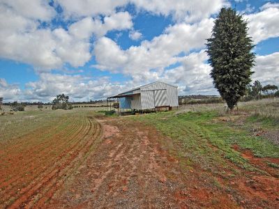 3 / Bartram, Brookton