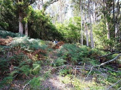 Lot 19 Waggs Gully Road, Ranelagh