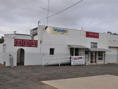 15 Parkes Rd, Forbes