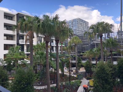 1303 / 15 Lachlan Street, Waterloo