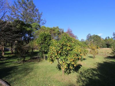 20 Mount Scanzi Road, Kangaroo Valley