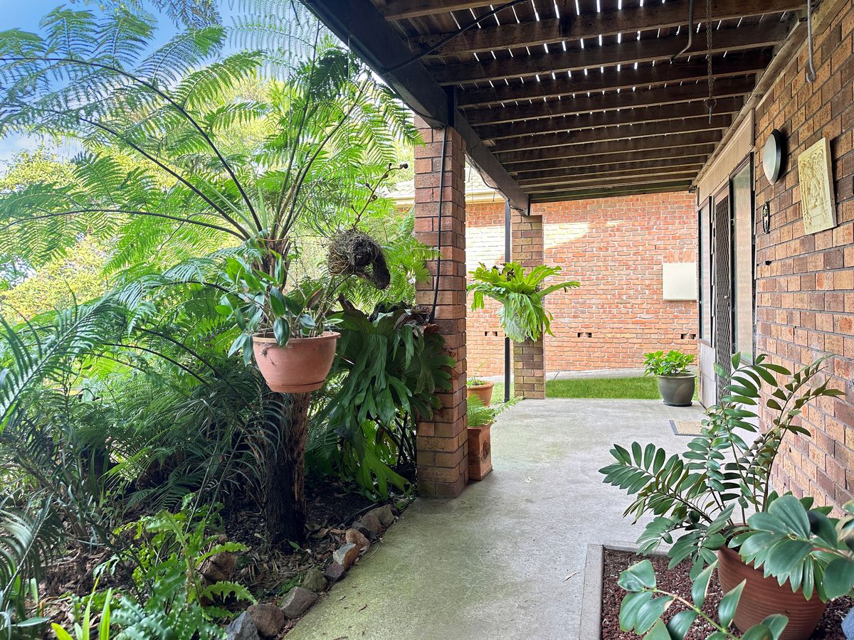 7 Robert Crescent, Lemon Tree Passage, Lemon Tree Passage - Thumbnail 5