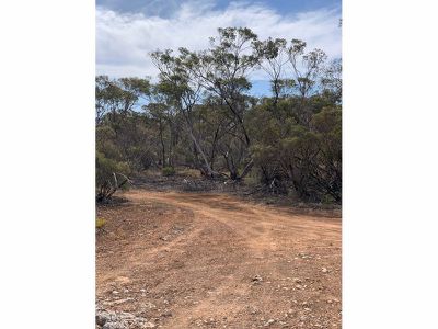 Lot 14 Stoneman Road, Bowhill