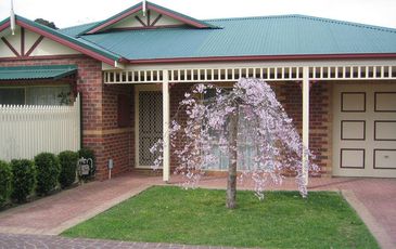 2 / 26-28 Exell Mews, Berwick