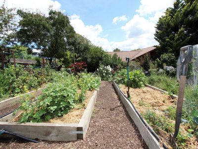 42 Napier Street, Windradyne