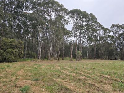 109 Deepfields Road, Catherine Field