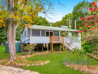 561 Left Bank Road, Mullumbimby Creek