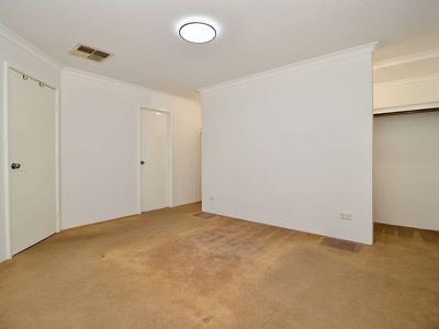 5 Diamondbird  , Baldivis