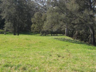 Kangaroo Valley