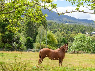 4 Combes Road, Longley