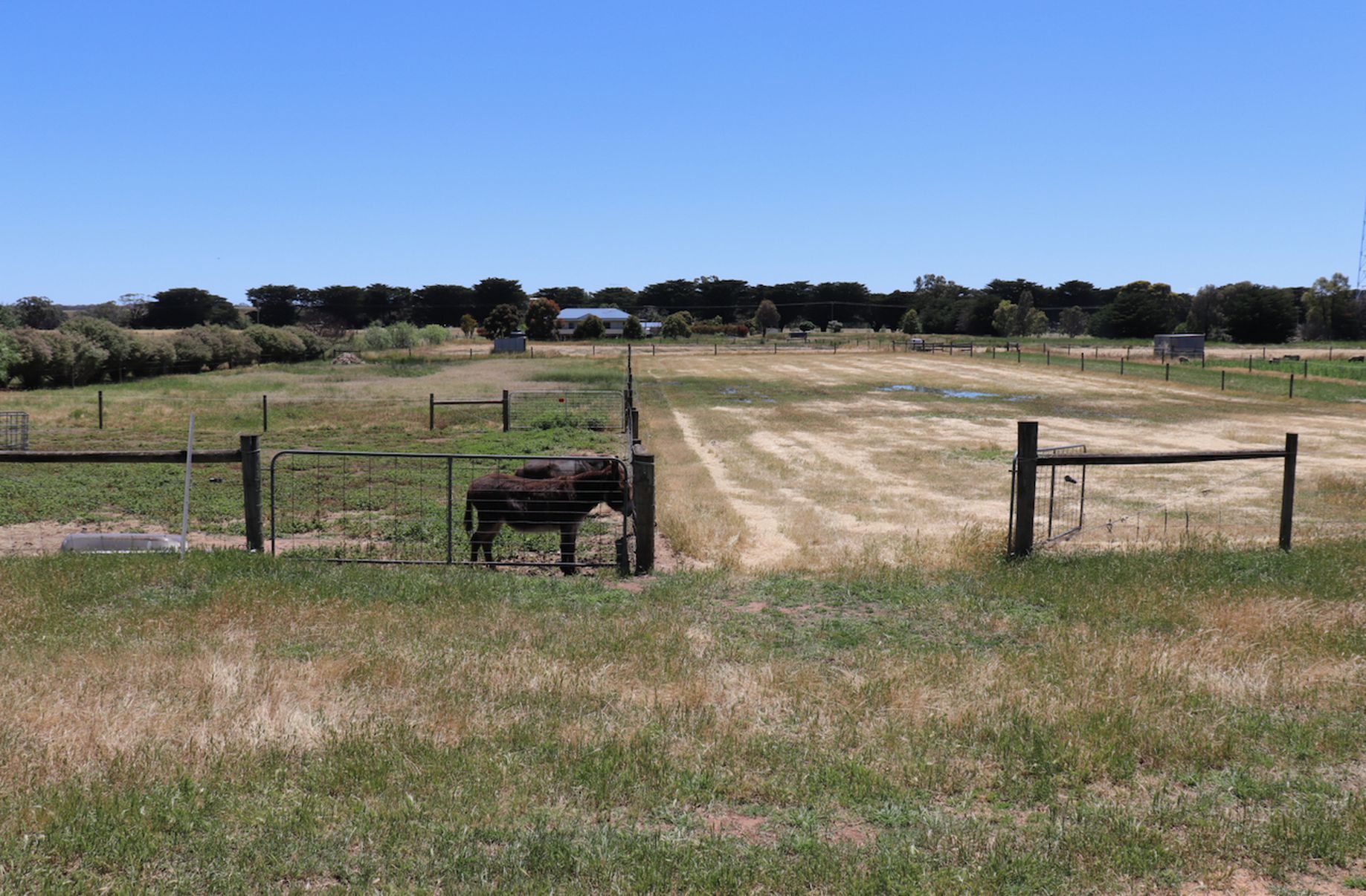 56 CEMETERY ROAD, Inverleigh