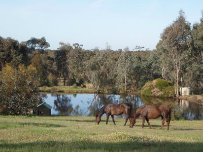 126 Kuhlemans Track, Heathcote