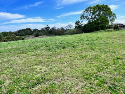 27 Corner of Bridge Creek Rd and Palm st, Maleny