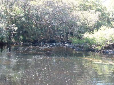 22 River Road, Brooman