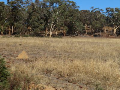 24804 / Mawson Doodenanning Road Balkuling, Quairading