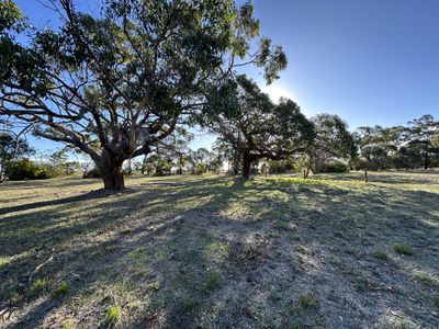 Lot 51, Corner of Blackwood Road and Banya South Road , Millicent
