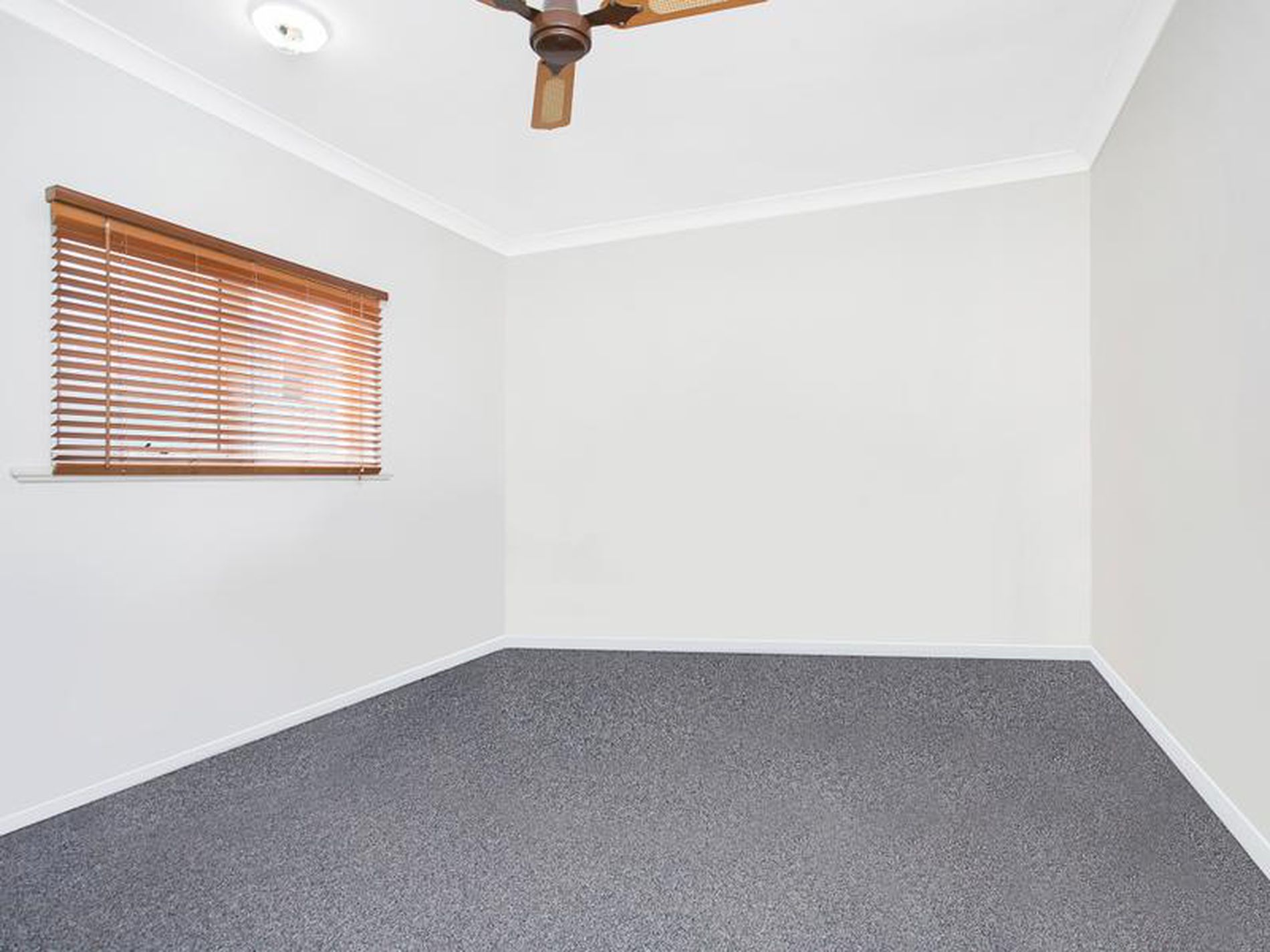 20 Bourlang Avenue, Camden Park