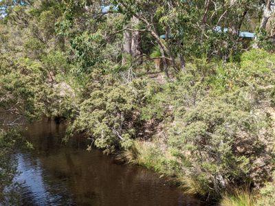 24 Flora Grove, Molloy Island