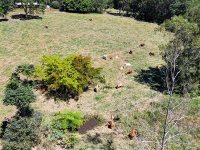 238 Ball Road, Peeramon
