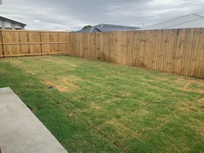 5 Westringia Court, Logan Reserve