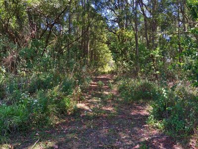 499 Blue Knob Road, Nimbin